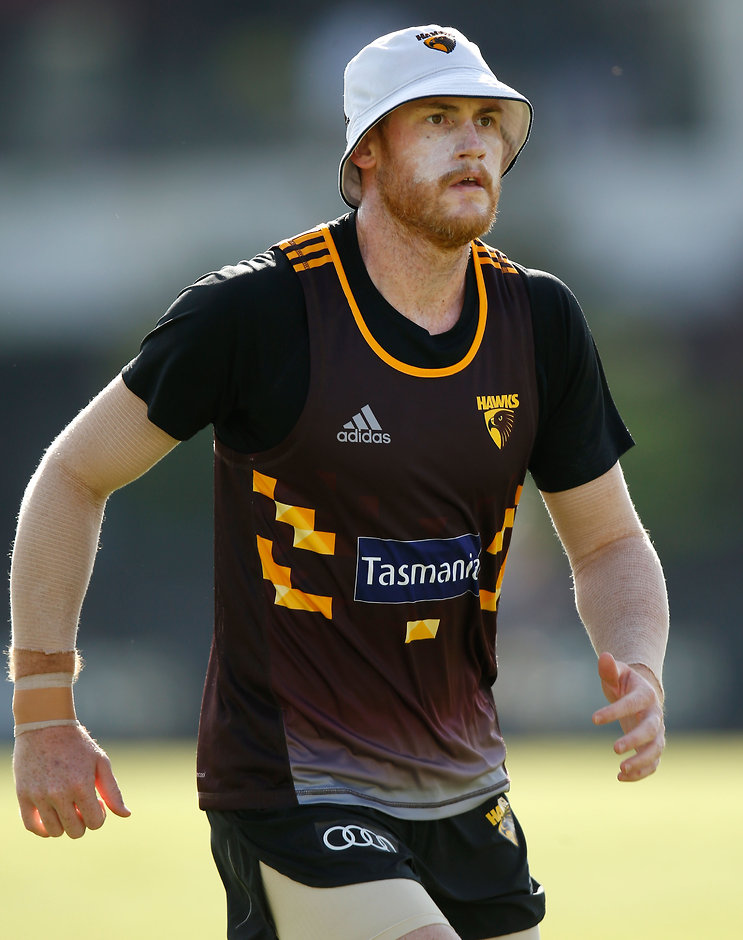 AFL 2016 Training - Hawthorn 130116 Jarryd Roughead will miss the first half of the season - ${keywords}
